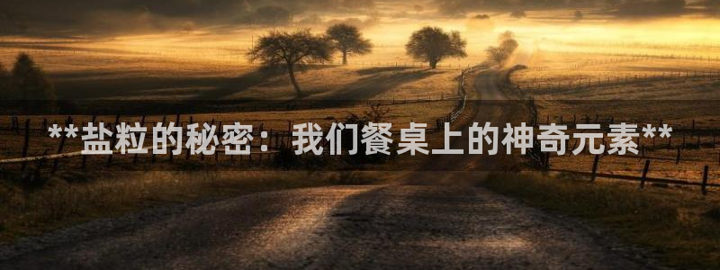 威九国际狂飚电影