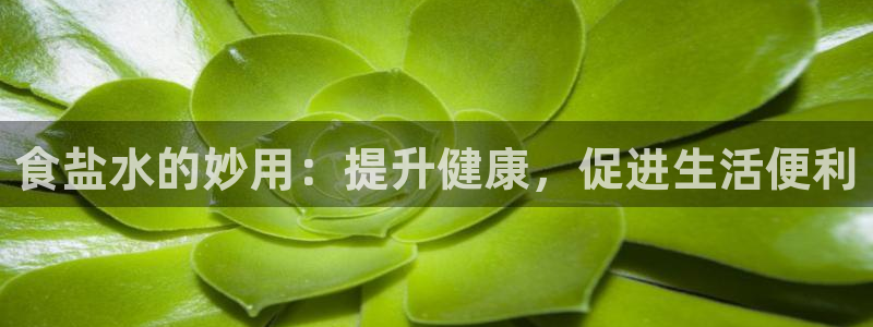 威九国际精彩推荐怎么样