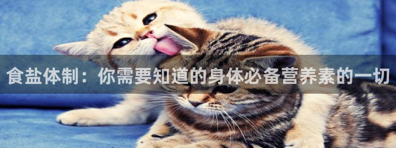 威九国际官网在线进入网站查询网址