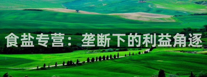 威九国际替好友去
