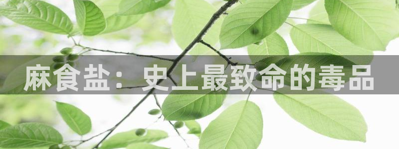 威九国际的女主