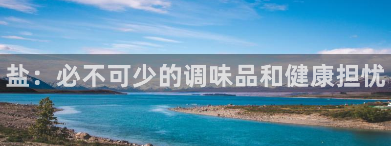 威九国际精
