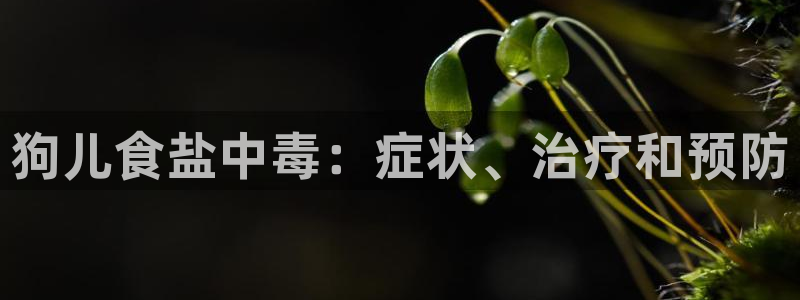 威九国际官网版