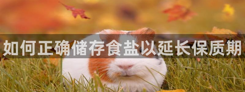 威九国际官方网站最新版本更新内容介绍