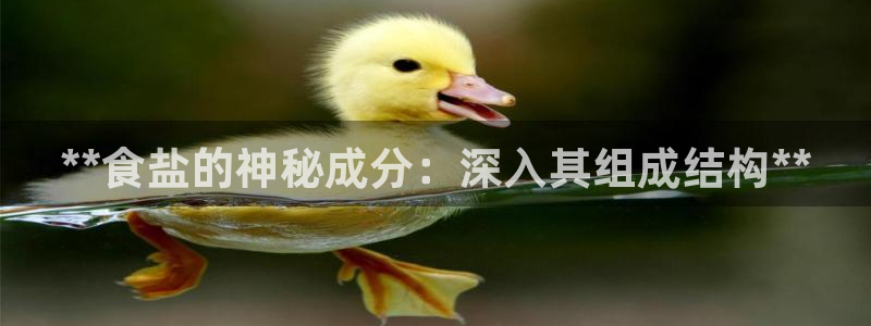 威九国际app网站官网