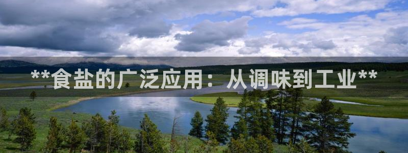 威九国际成长模式