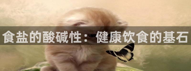 威九国际电影HD