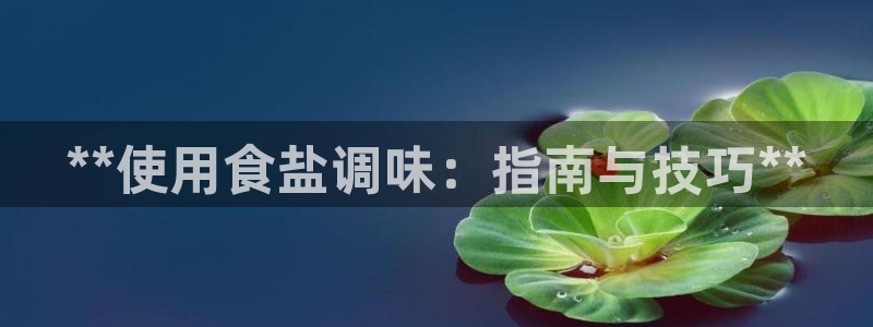 威九国际软件公司简介