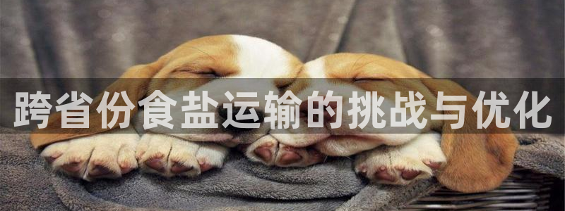 威九国际游戏app网址