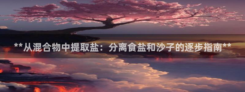 威九国际com