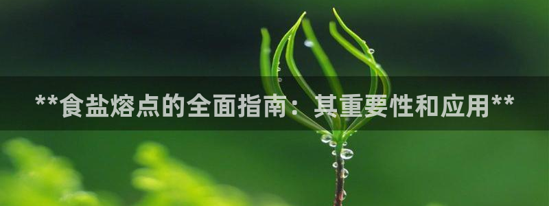 威九国际男主