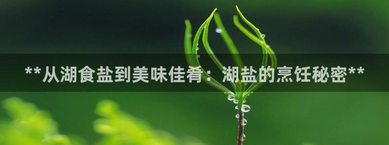 威九国际客服电话人工服务