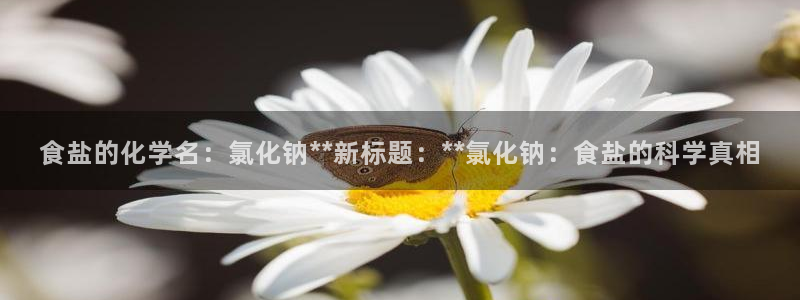 威九国际h5