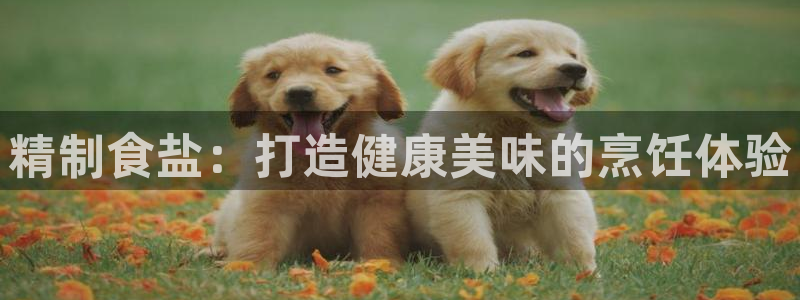 威九国际最近的视频