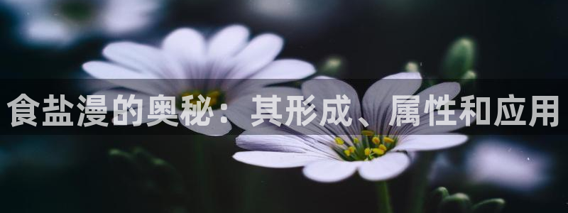 威九国际ppt免费