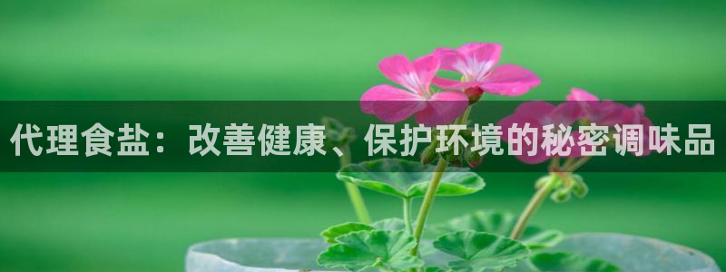 威九国际66mm66