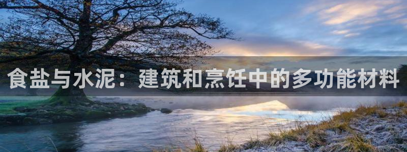 威九国际软件
