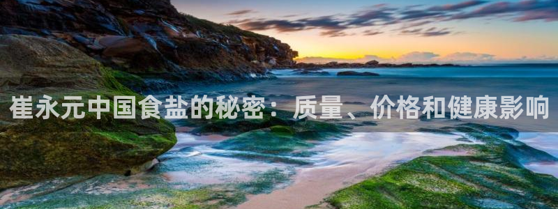 威九国际H