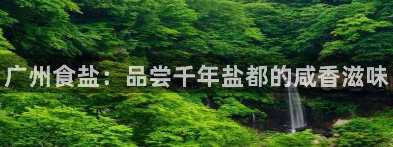 威九国际狂飚电影