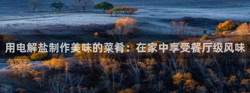 威九国际78mb官网