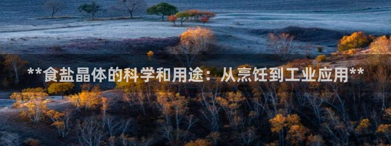 威九国际取款机怎么取