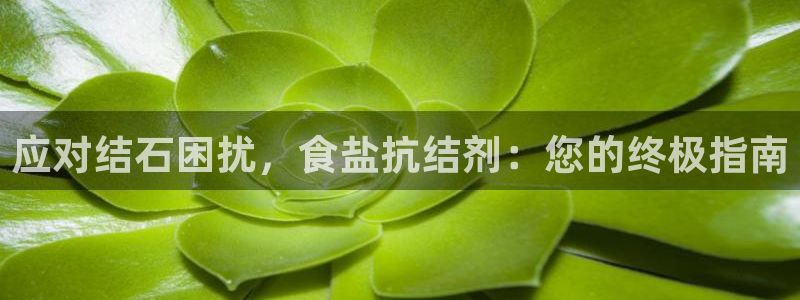 威九国际女神