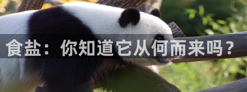 威九国际客服电话号码