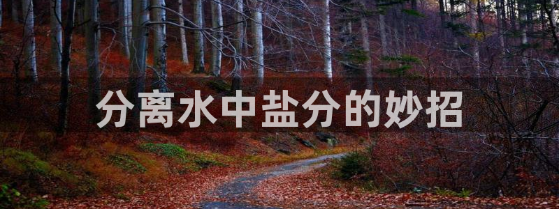 78mapp威九国际最新版