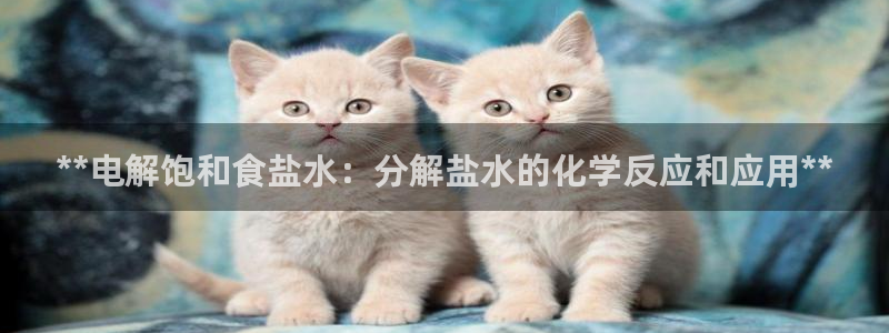 威九国际体育app下载