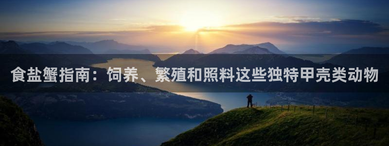 威九国际真人玩家在线对战