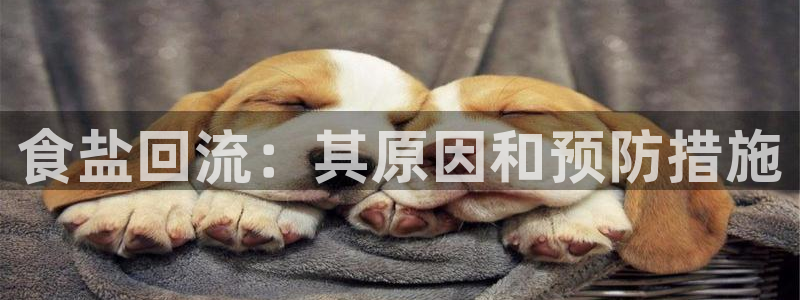 威九国际免费