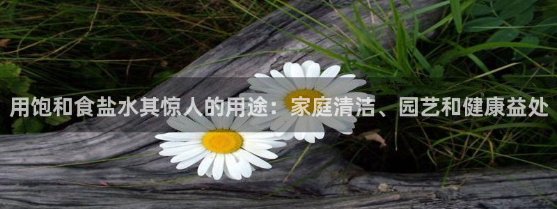 威九国际新