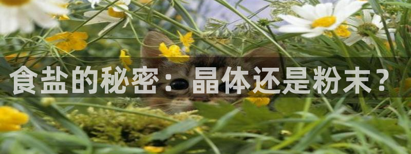 威九国际清砖码头在哪