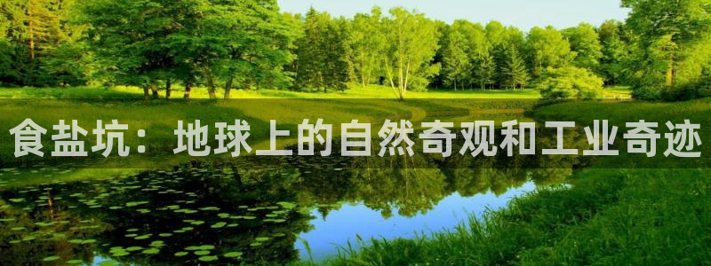 威九国际PPT