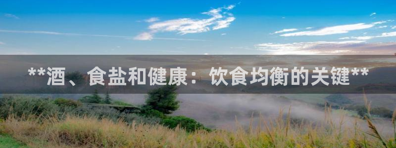 威九国际66m66