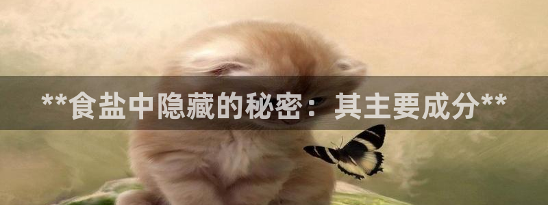 威九国际网站
