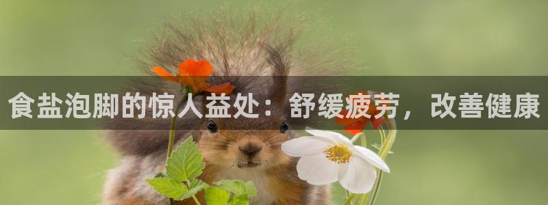 威九国际高清