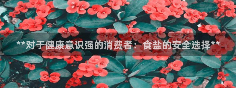 威九国际韩国