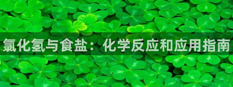 威九国际演员表
