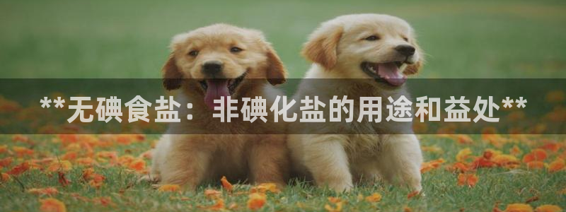 威九国际MV