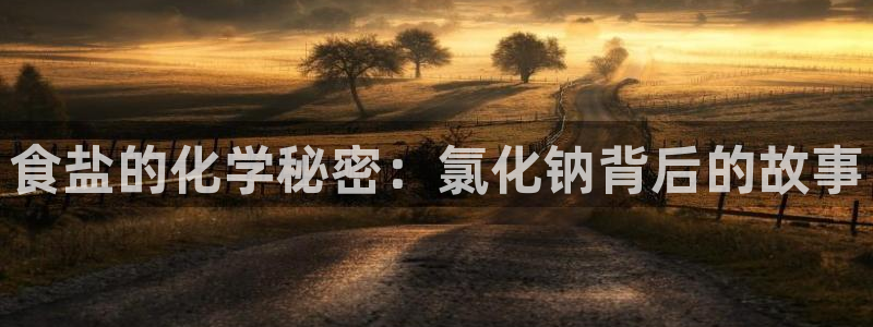 威九国际电子游戏