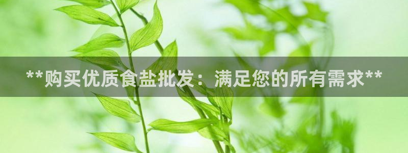 威九国际的金融服务有哪些