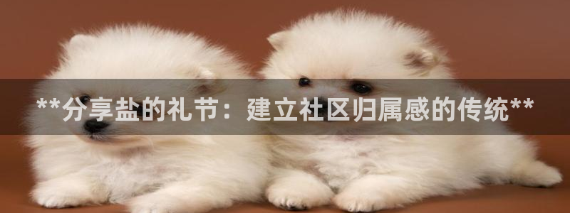 威九国际网站客服电话多少啊