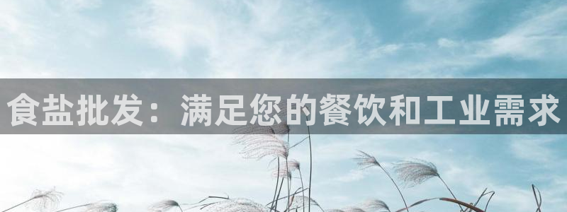 威九国际的网站入口在哪里