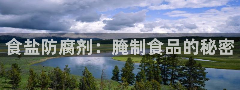 威九国际小说
