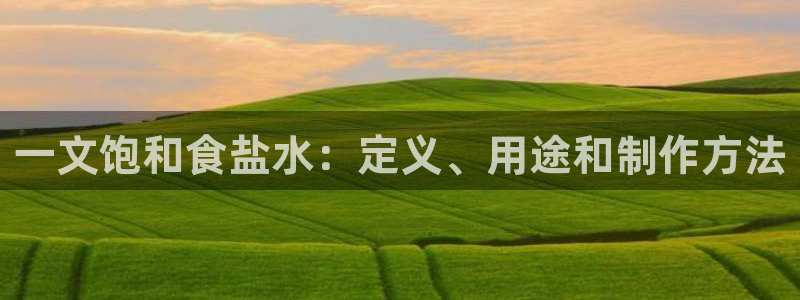 威九国际女艺人