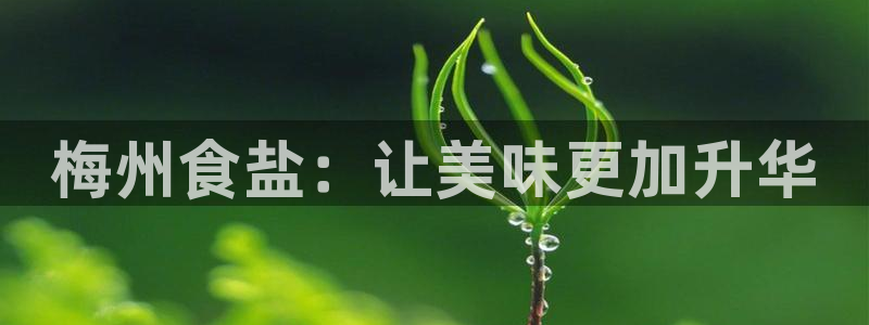 威九国际com