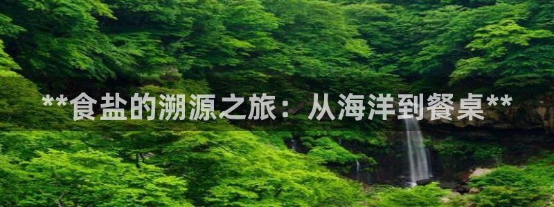 威九国际官方网站最新版本更新内容介绍