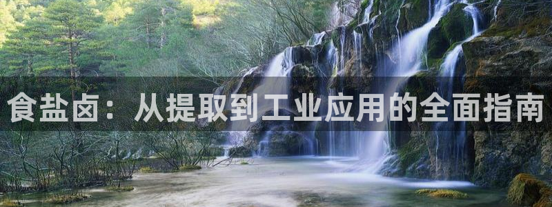 威九国际在线平台怎么样啊