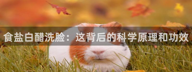 威九国际女儿的朋友